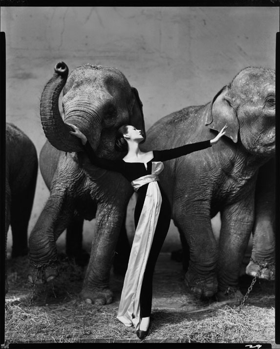 Dovima e gli elefanti al circo d’inverno, abito Dior, Parigi, Agosto 1955 