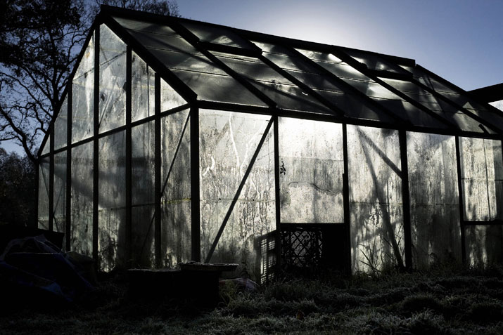 The Greenhouse, 2007