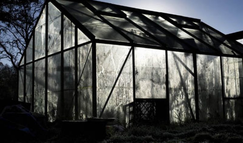The Greenhouse, 2007, from the series, In The Shadow of Things