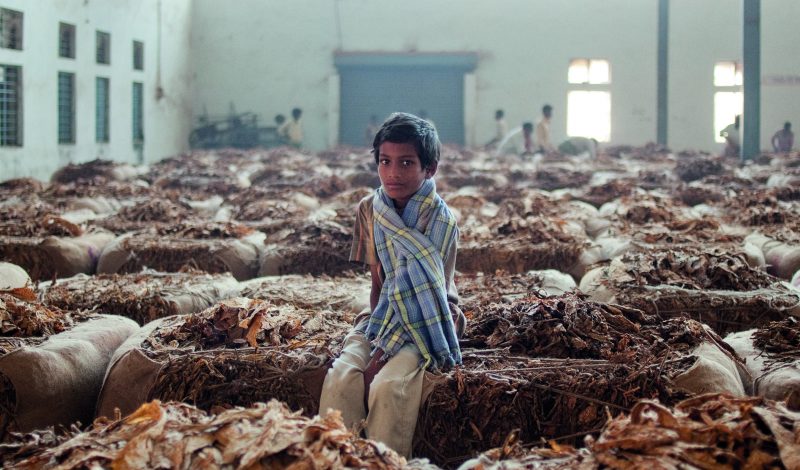 Periyapatna, India A farmer’s child sitting on a tobacco bale